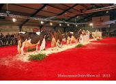 Midsummer Dairy Show 2013